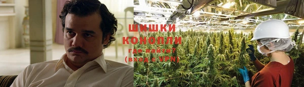 ПСИЛОЦИБИНОВЫЕ ГРИБЫ Михайловка