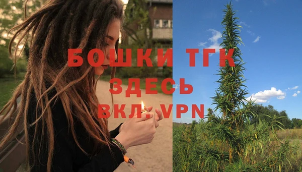 ПСИЛОЦИБИНОВЫЕ ГРИБЫ Михайловка