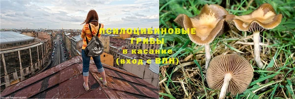 ПСИЛОЦИБИНОВЫЕ ГРИБЫ Михайловка