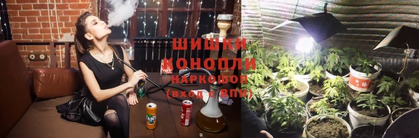 ПСИЛОЦИБИНОВЫЕ ГРИБЫ Михайловка
